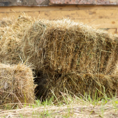 Stacked hay bales — hay and bedding department at M5 Winchester Feed.