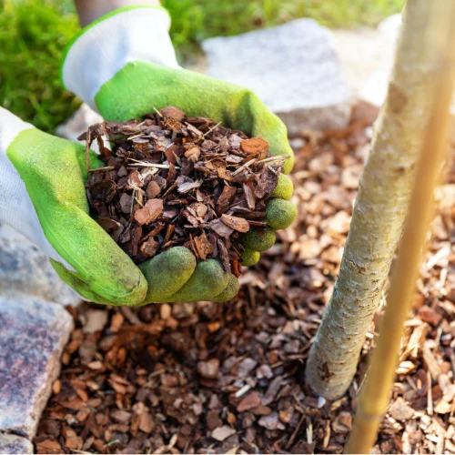 Hands holding mulch — bulk mulch and materials at M5 Winchester Feed.