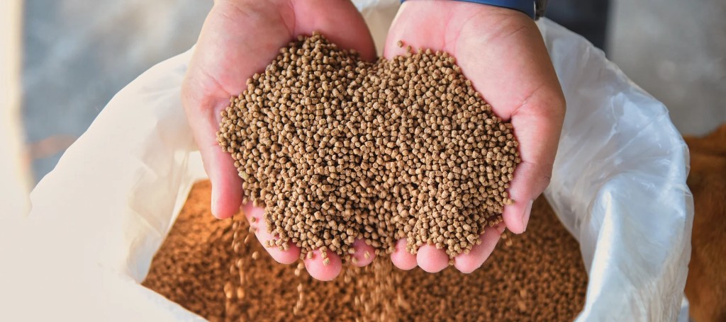 Two hands holding feed pellets over a bag of feed at M5 Winchester Feed.